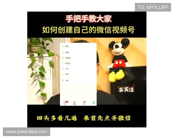 真人多宝官网注册流程详解新手快速上手指南助你轻松完成账号注册与登录